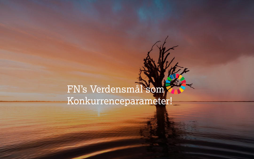 Vær med i Verdensmålsprojektet
