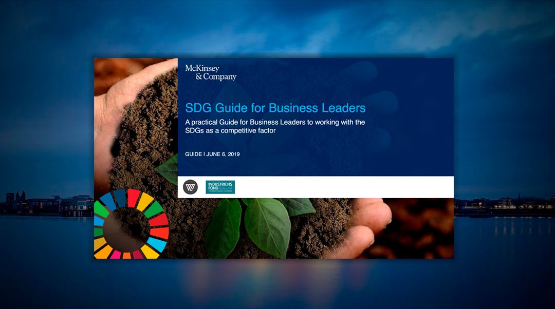 Download McKinsey’s SDG Guide for Business Leaders