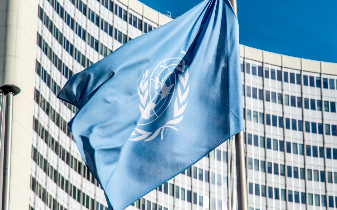 Al­drig har FN's ver­dens­mål væ­ret mere re­le­van­te